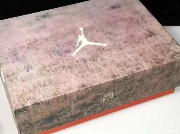 HYPE Beige Bio Air AV6683-200 Jordan JTH 3 0509